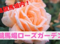 競馬場ローズガーデン