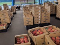 jaここら直売所