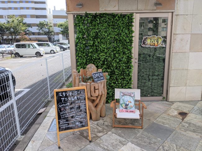 さゆり 伊藤先生参戦 福島市の動物カフェ Rickyをレビュー