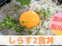 しらす2食丼