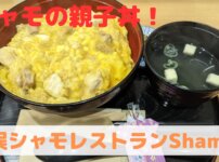 シャモ親子丼
