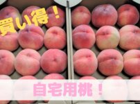 自宅用桃