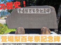 萱場梨,歴史