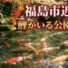 鯉がいる公園