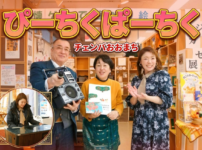 ぴーちくぱーちく