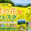 菜の花フェスタ