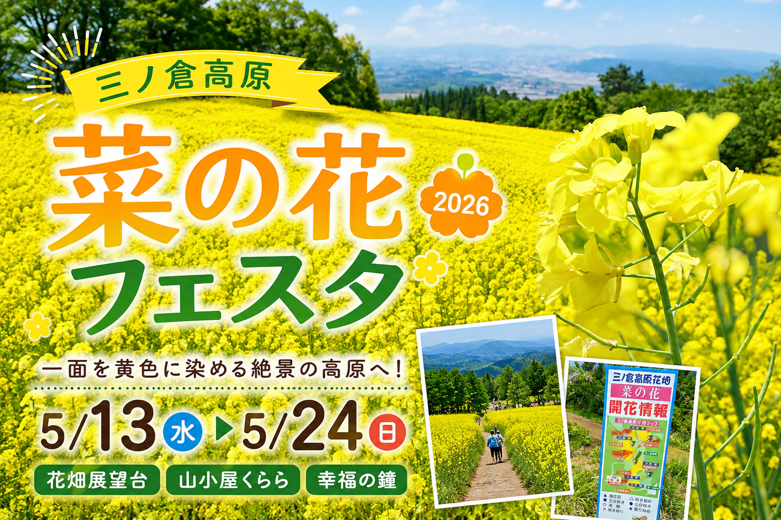 菜の花フェスタ