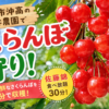 吉井農園