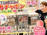 福島市,ガチャっぺ,ガチャポン