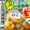 梨の自動販売機