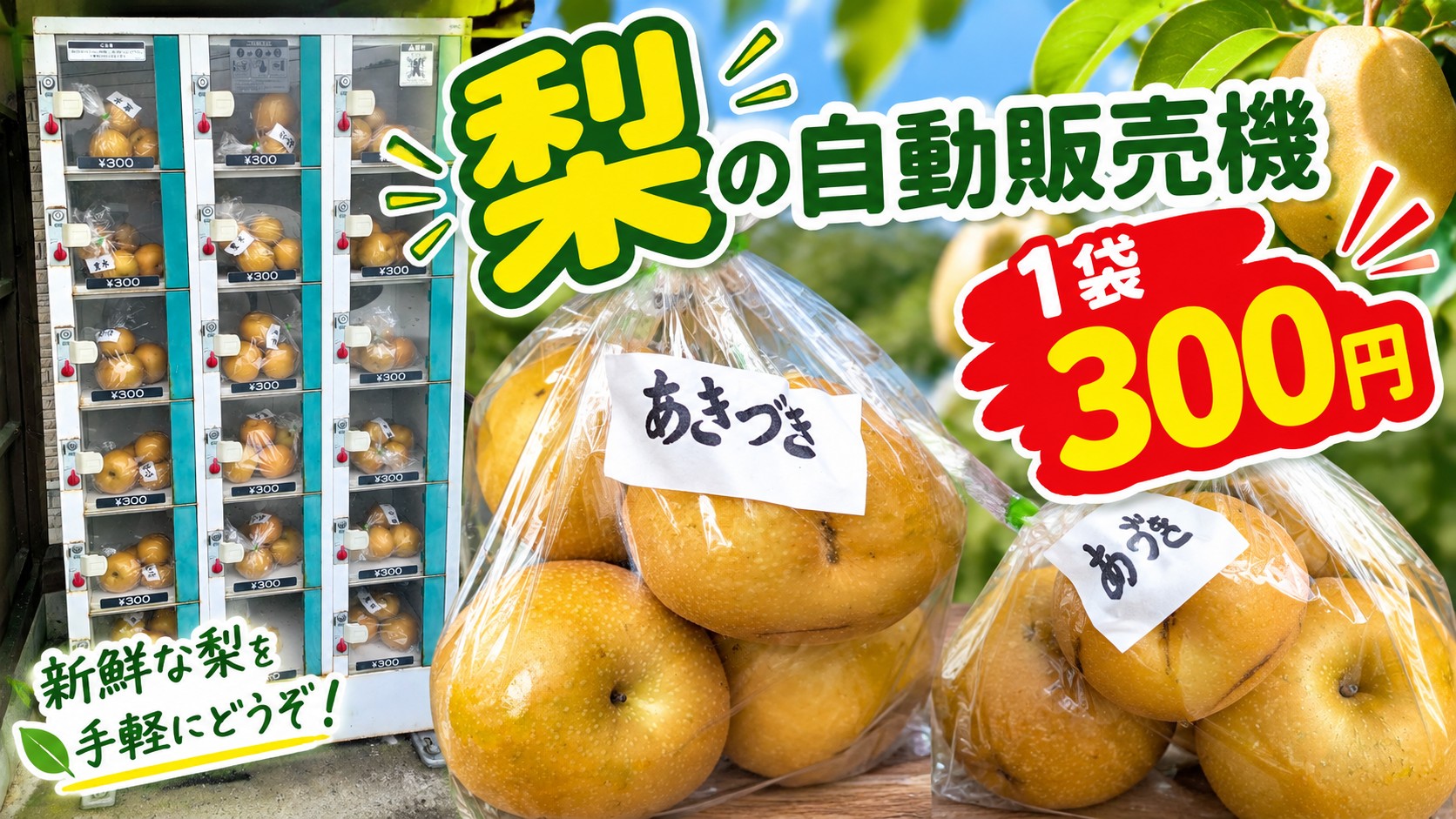 梨の自動販売機